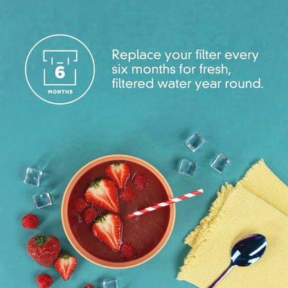 EDRARXD1 water filter A, refrigerator water filter A